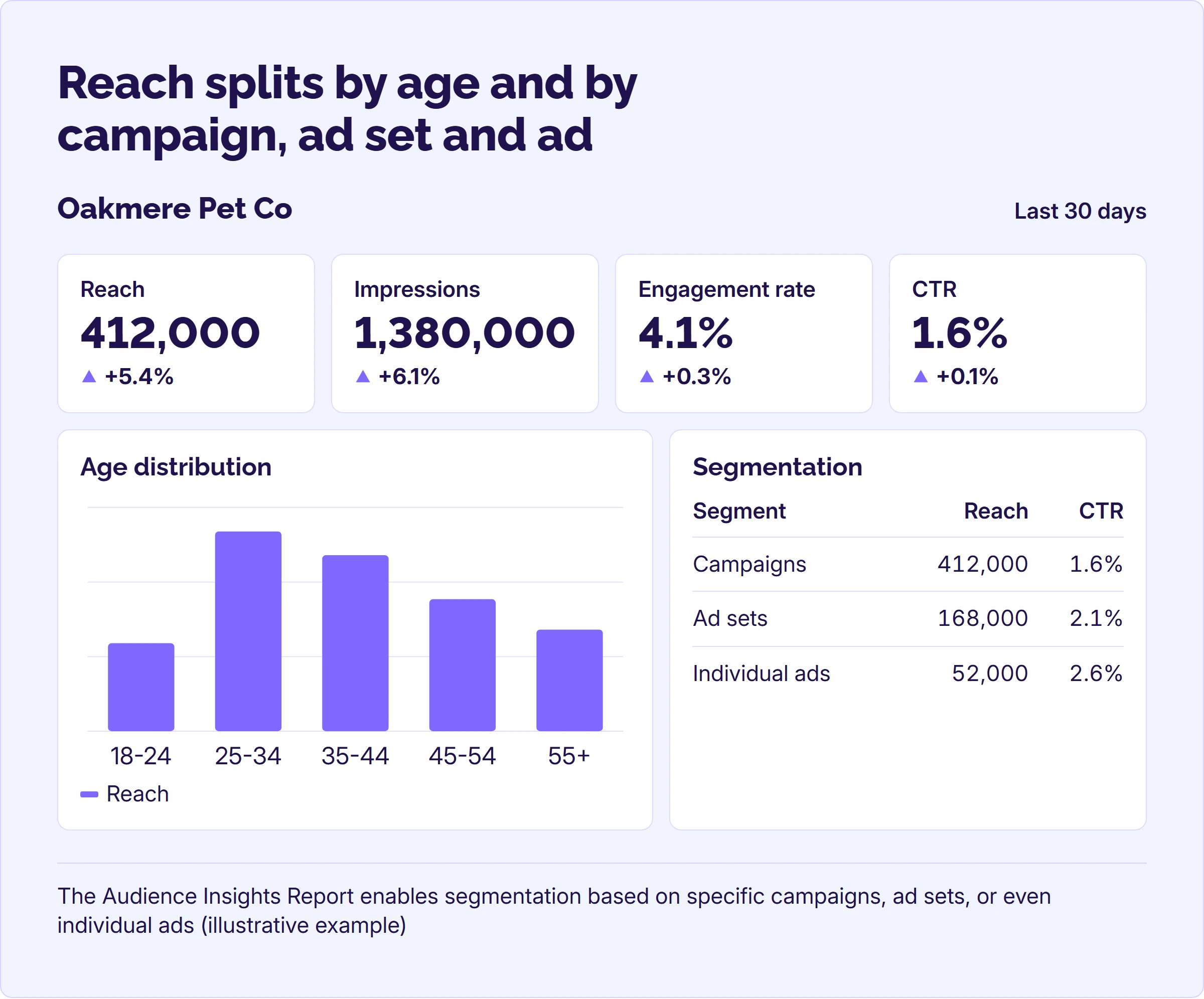 Example audience insights dashboard with reach, impressions, an age distribution chart and a table by campaign, ad set and ad. Example audience insights dashboard with reach, impressions, an age distribution chart and a table by campaign, ad set and ad.