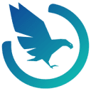 Hawk DSP logo