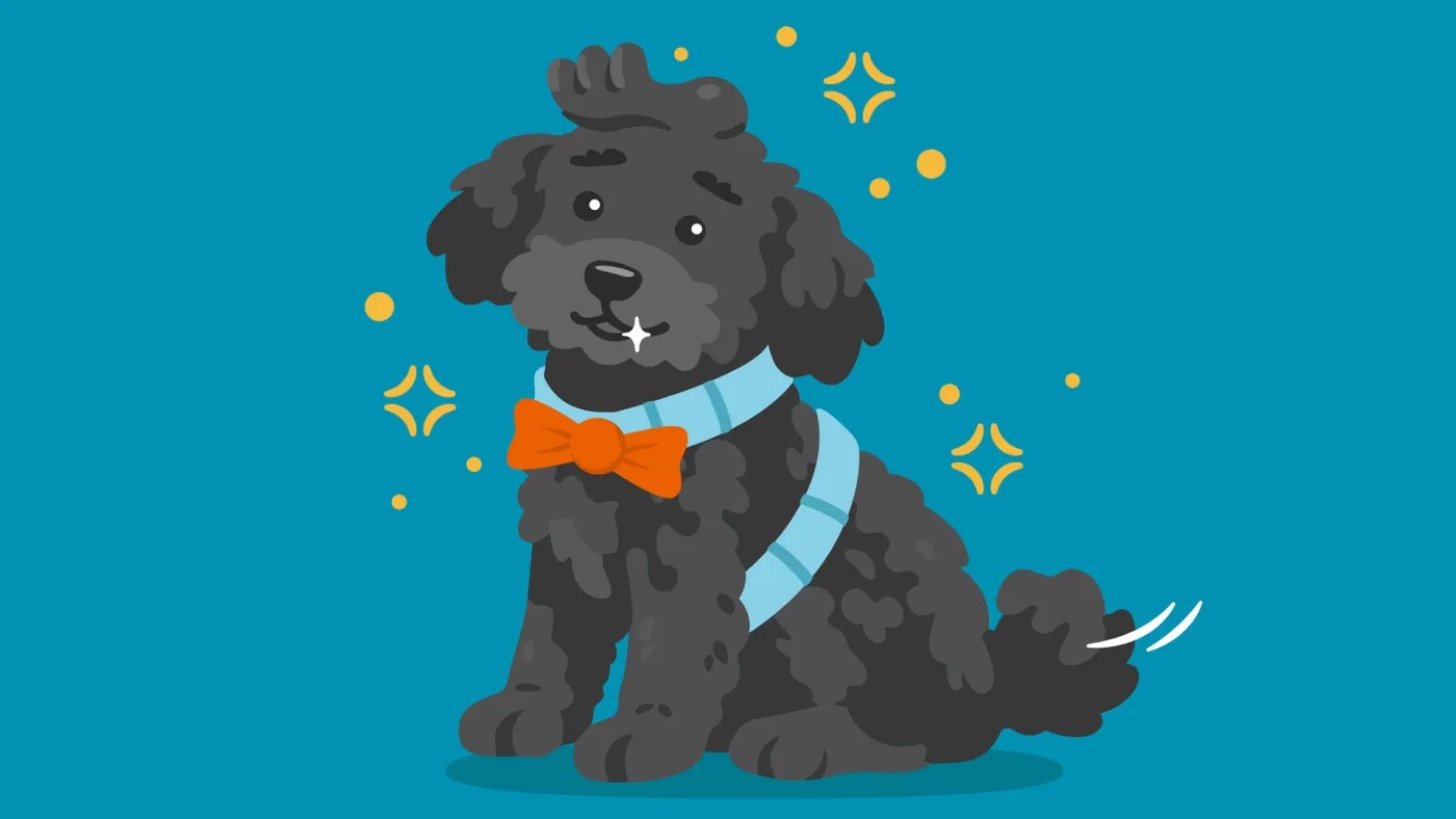 Banfield Pet Hospital illustration of a black dog wearing a bow tie
