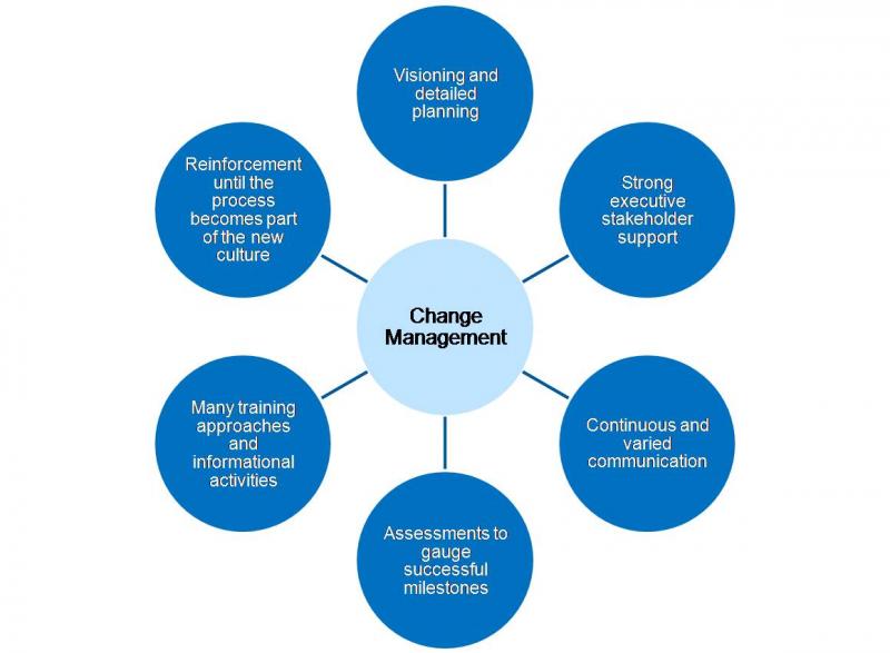 Visualization of a change management plan to walk leaders through relevant steps and strategies.