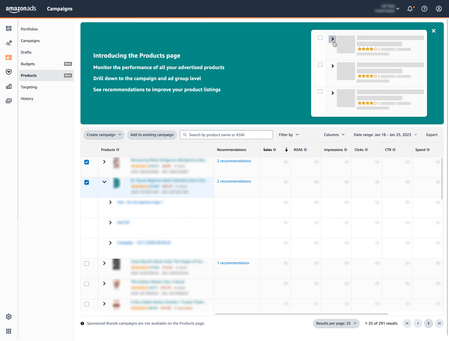 A Products page in Campaign Manager within the Advertising Console