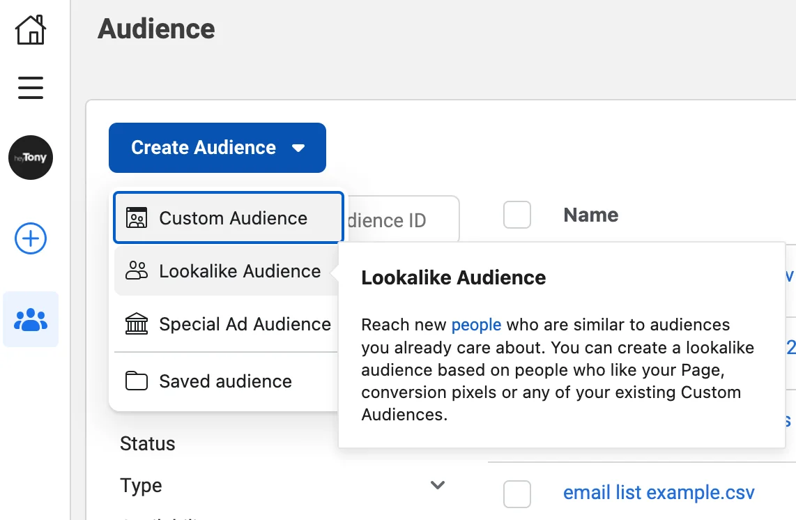 The audience creation menu shows how to build Custom and Lookalike Audiences.